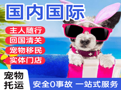 二连浩特航空快递国际宠物托运 【国